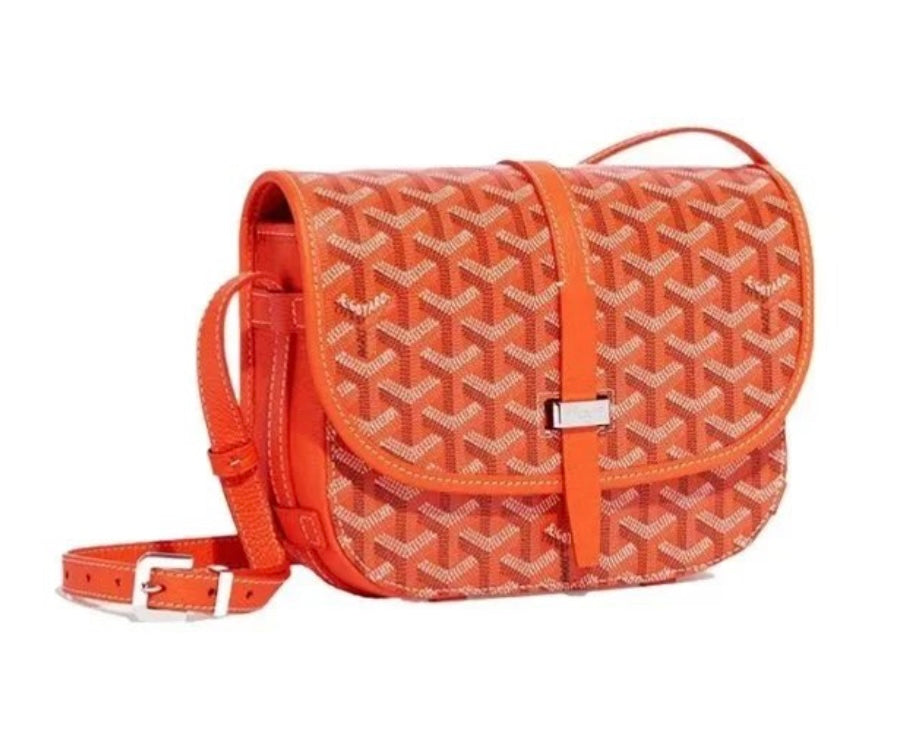 Goyard bag